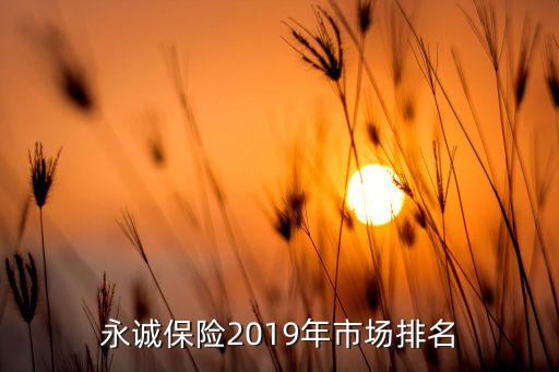 永誠保險(xiǎn)2019年市場排名