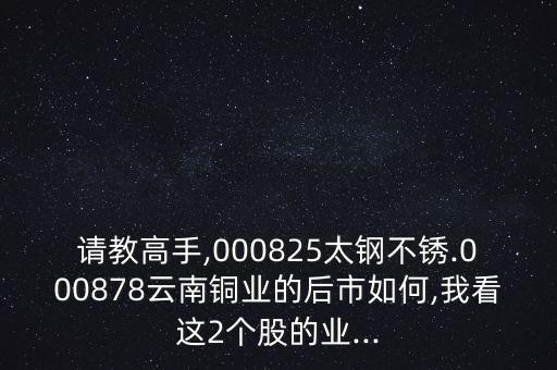 請教高手,000825太鋼不銹.000878云南銅業(yè)的后市如何,我看這2個(gè)股的業(yè)...