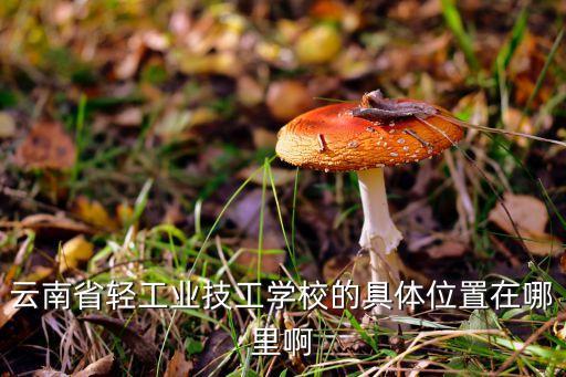 云南省輕工業(yè)技工學(xué)校的具體位置在哪里啊