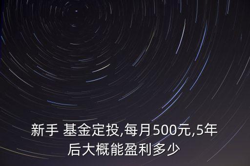 新手 基金定投,每月500元,5年后大概能盈利多少