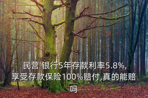  民營 銀行5年存款利率5.8%,享受存款保險100%賠付,真的能賠嗎