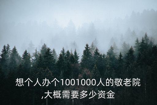 想個人辦個1001000人的敬老院,大概需要多少資金