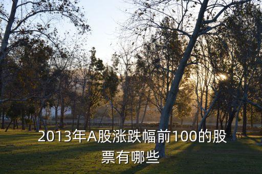  2013年A股漲跌幅前100的股票有哪些