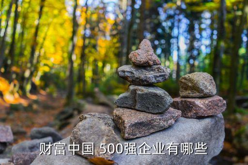 財(cái)富中國 500強(qiáng)企業(yè)有哪些