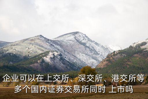 企業(yè)可以在上交所、深交所、港交所等多個國內證券交易所同時 上市嗎