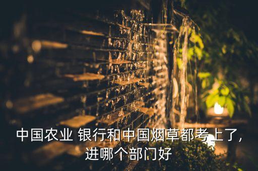 中國農(nóng)業(yè) 銀行和中國煙草都考上了,進(jìn)哪個部門好