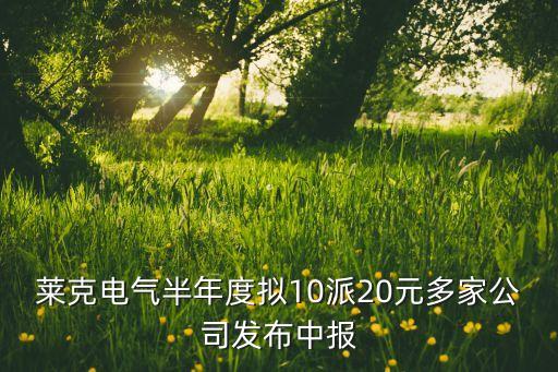 萊克電氣半年度擬10派20元多家公司發(fā)布中報