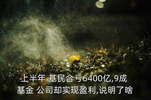 上半年 基民合虧6400億,9成 基金 公司卻實(shí)現(xiàn)盈利,說明了啥