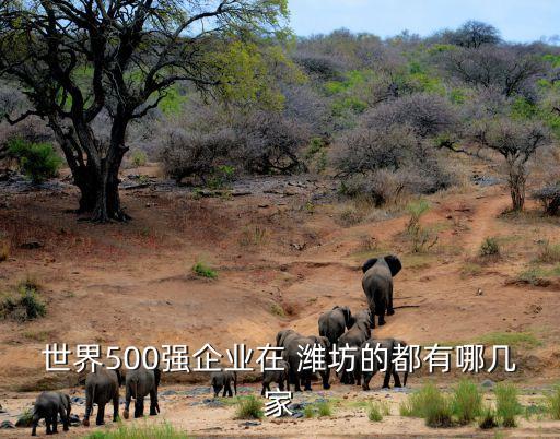 濰坊中財(cái)國際石油集團(tuán)有限公司