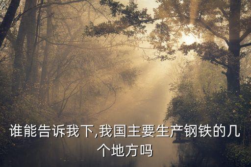 誰(shuí)能告訴我下,我國(guó)主要生產(chǎn)鋼鐵的幾個(gè)地方嗎