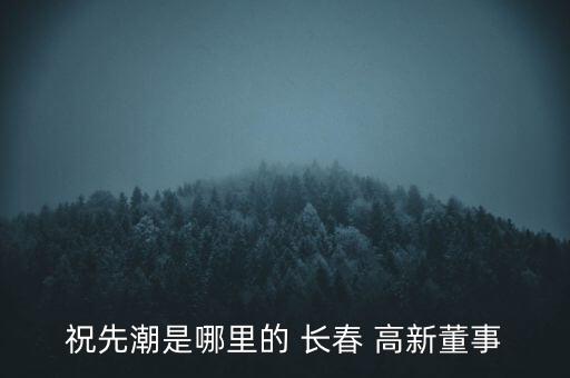 長春高新熱力有限公司