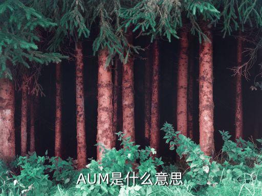 AUM是什么意思