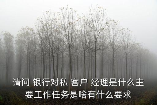 請(qǐng)問(wèn) 銀行對(duì)私 客戶(hù) 經(jīng)理是什么主要工作任務(wù)是啥有什么要求