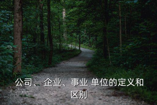 地方政府單位與企業(yè)共同成立公司,政府單位和企業(yè)可以共同作為活動主辦方么