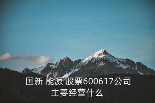  國(guó)新 能源 股票600617公司主要經(jīng)營(yíng)什么