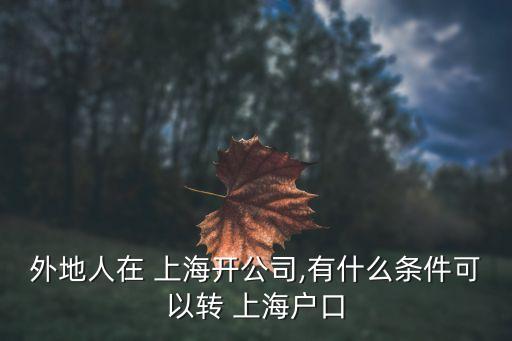 上海風險投資政策,上海的風險投資公司有哪些