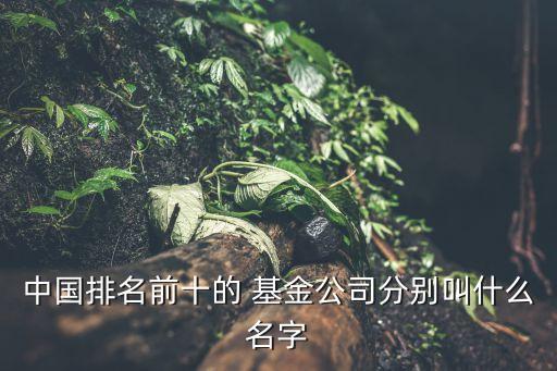 中國排名前十的 基金公司分別叫什么名字