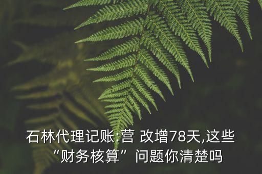 石林代理記賬:營(yíng) 改增78天,這些“財(cái)務(wù)核算”問(wèn)題你清楚嗎