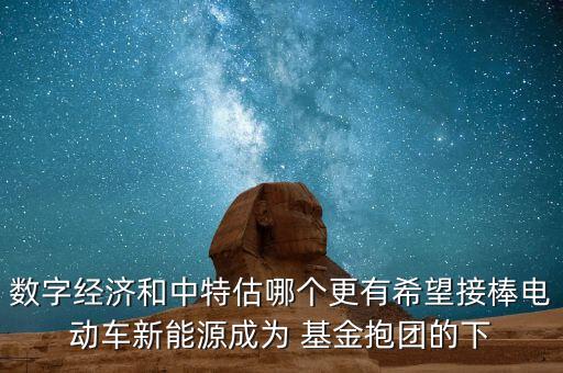 數字經濟和中特估哪個更有希望接棒電動車新能源成為 基金抱團的下