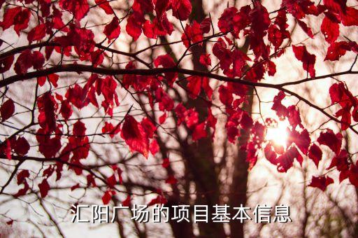 匯陽(yáng)投資贏家,投資贏家app怎么樣