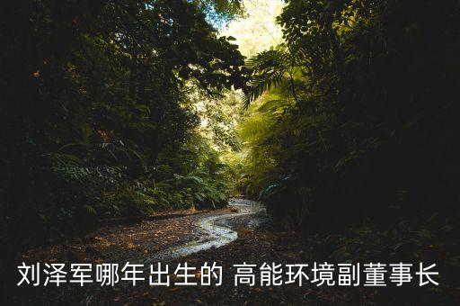 劉澤軍哪年出生的 高能環(huán)境副董事長(zhǎng)