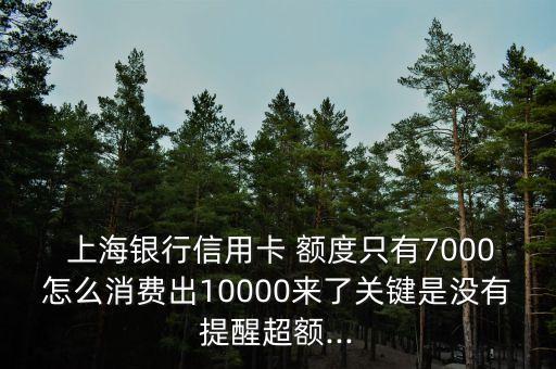  上海銀行信用卡 額度只有7000怎么消費(fèi)出10000來了關(guān)鍵是沒有提醒超額...