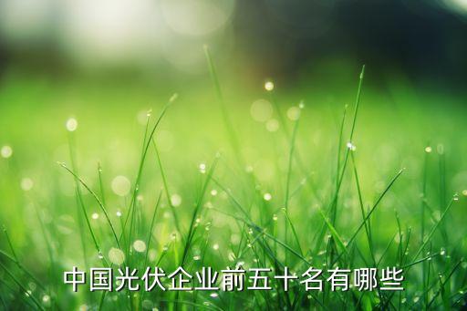 中國光伏企業(yè)前五十名有哪些