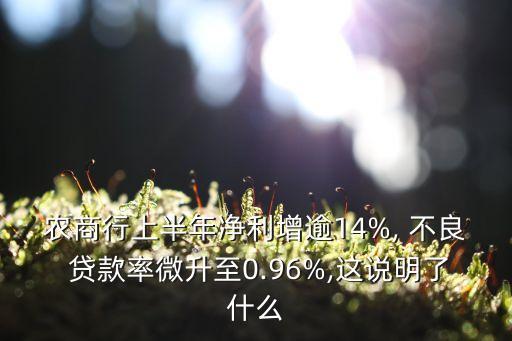 農(nóng)商行上半年凈利增逾14%, 不良 貸款率微升至0.96%,這說明了什么