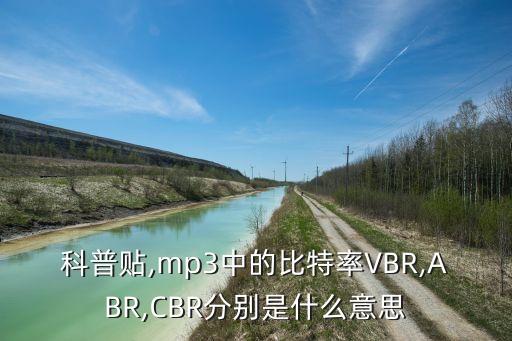 科普貼,mp3中的比特率VBR,ABR,CBR分別是什么意思