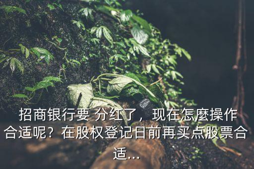  招商銀行要 分紅了﹐現(xiàn)在怎麼操作合適呢﹖在股權(quán)登記日前再買點(diǎn)股票合適...