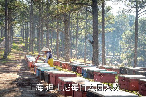 上海迪士尼日客流量10萬