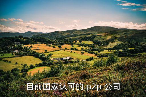 p2p有哪些公司,美國P2P公司