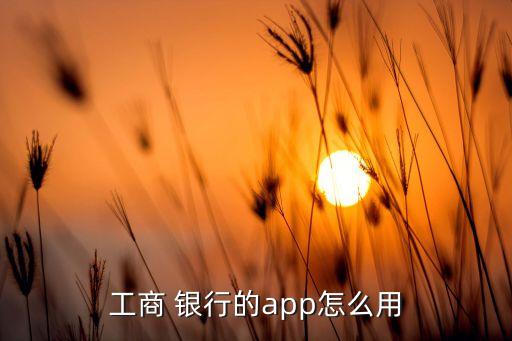 工商 銀行的app怎么用