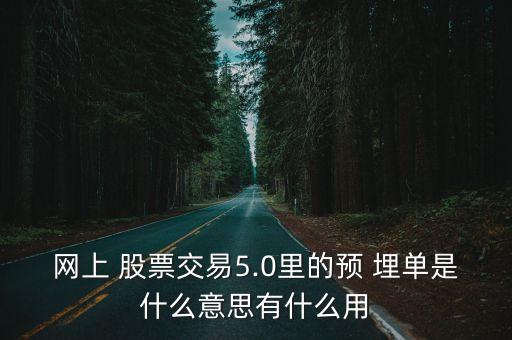 網(wǎng)上 股票交易5.0里的預 埋單是什么意思有什么用