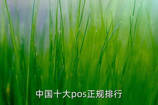 中國十大pos正規(guī)排行