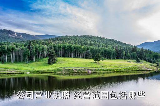  公司營業(yè)執(zhí)照 經(jīng)營范圍包括哪些