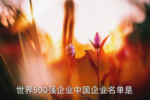 世界500強(qiáng)企業(yè)中國企業(yè)名單是