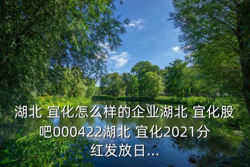 湖北 宜化怎么樣的企業(yè)湖北 宜化股吧000422湖北 宜化2021分紅發(fā)放日...