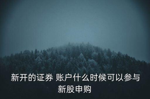  新開的證券 賬戶什么時候可以參與新股申購