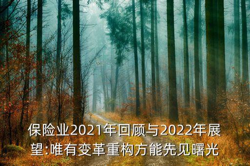 保險業(yè)2021年回顧與2022年展望:唯有變革重構(gòu)方能先見曙光