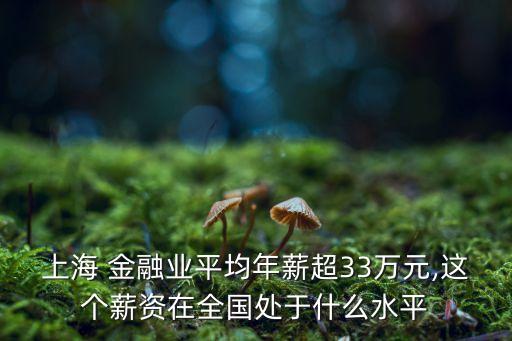 上海 金融業(yè)平均年薪超33萬元,這個薪資在全國處于什么水平