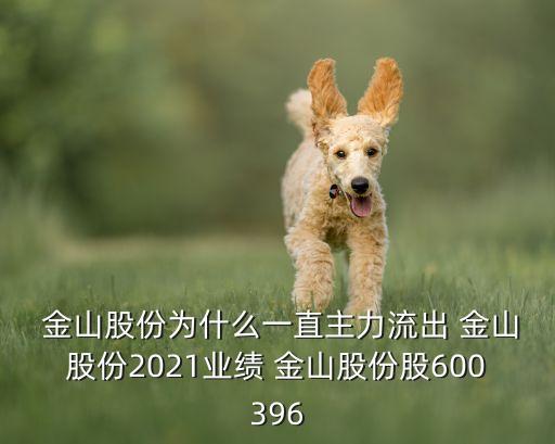  金山股份為什么一直主力流出 金山股份2021業(yè)績 金山股份股600396