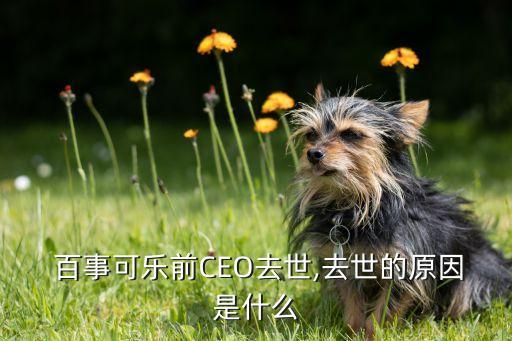  百事可樂前CEO去世,去世的原因是什么