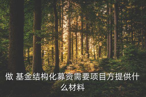 做 基金結(jié)構(gòu)化募資需要項(xiàng)目方提供什么材料