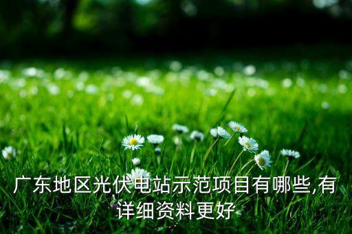 廣東地區(qū)光伏電站示范項(xiàng)目有哪些,有詳細(xì)資料更好