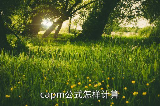 capm公式怎樣計算