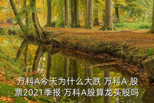  萬科A今天為什么大跌 萬科A 股票2021季報 萬科A股算龍頭股嗎