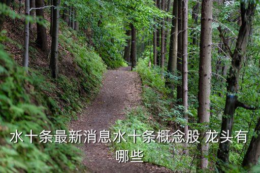 污水處理股票龍頭股,全國十大污水處理廠設(shè)備廠家