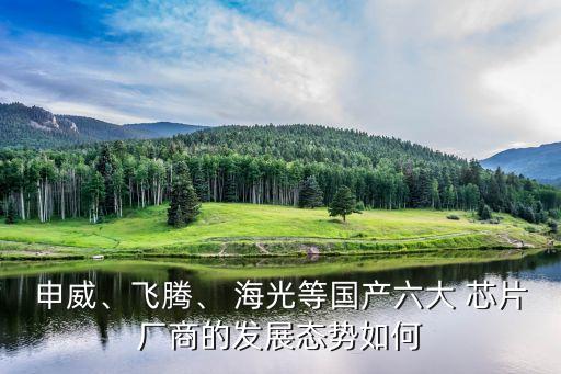 申威、飛騰、 海光等國產(chǎn)六大 芯片廠商的發(fā)展態(tài)勢(shì)如何