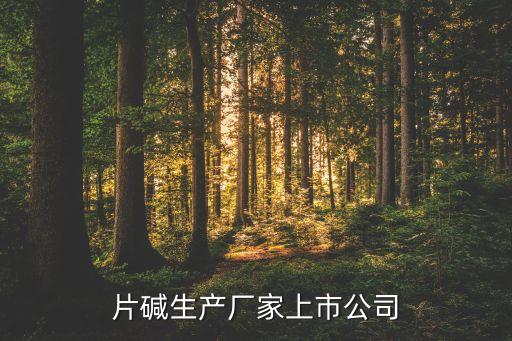 片堿生產(chǎn)廠家上市公司